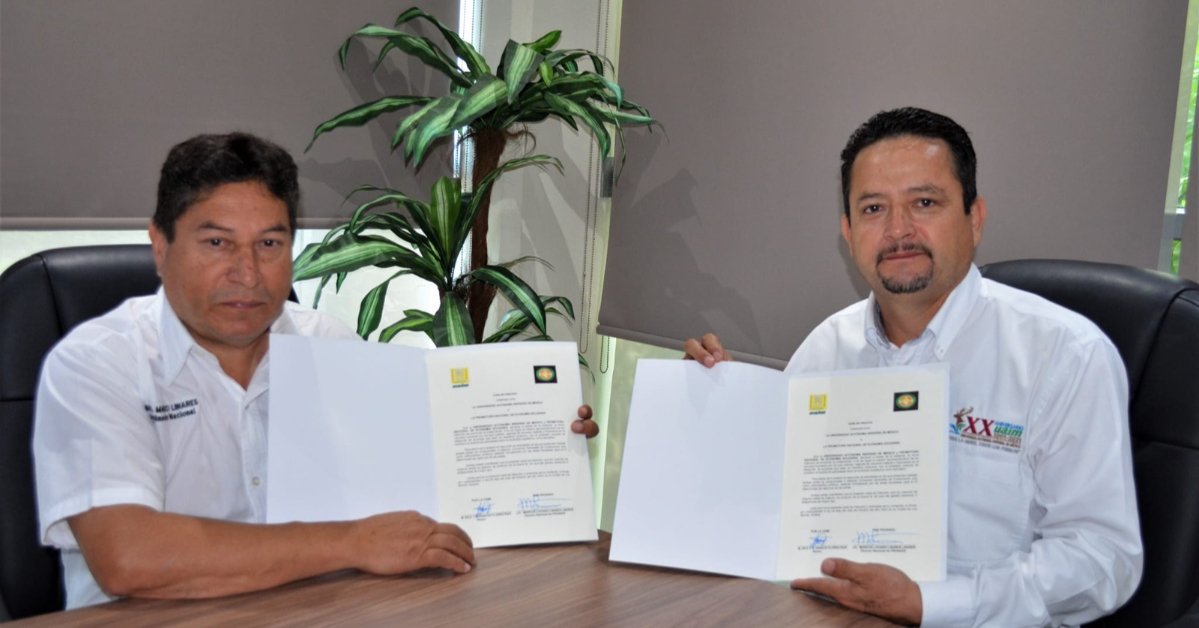 Noticia relacionada 1